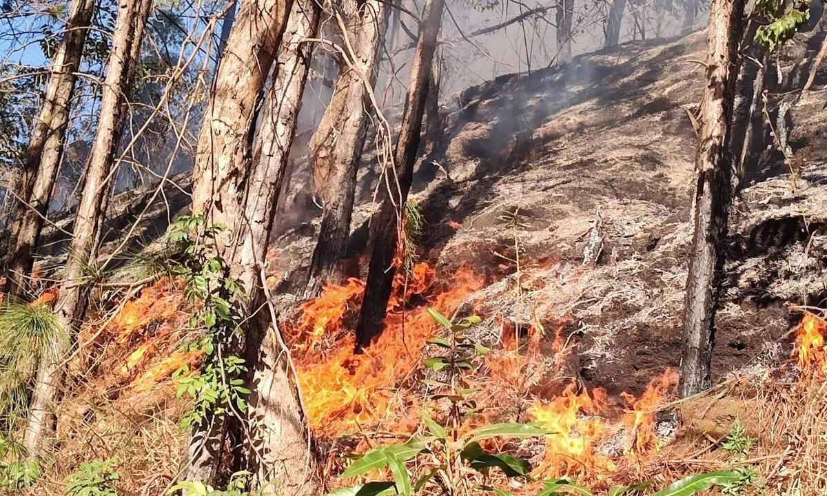 Incêndio atinge o Parque Linear do Belvedere, em BH - Benny Cohen/ EM/ D.A. Press