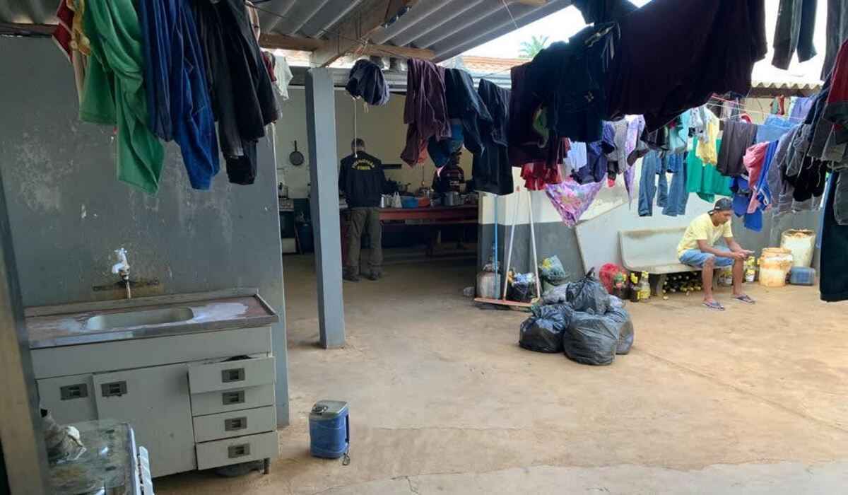 Trabalho análogo à escravidão: operações resgatam 207 pessoas em MG - MPT-MG/Divulgação