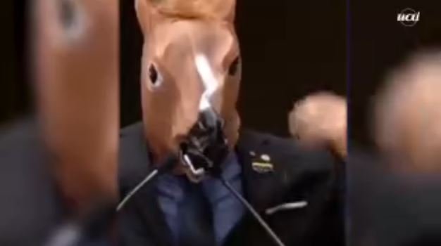 Vereador se veste de burro e zurra após Câmara homenagear Olavo de Carvalho - Câmara/ Reprodução