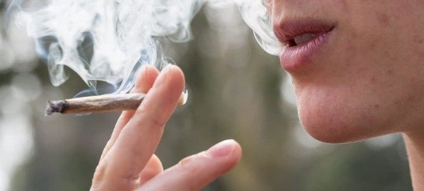 Usuário de maconha não é mais preguiçoso e desmotivado, diz estudo - Narconon.org/Reprodução