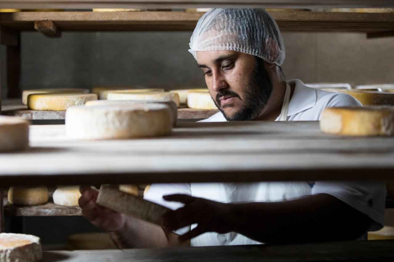 Mineiros buscam o ouro em concurso mundial de queijos - Queijo do Serjão/Divulgação
