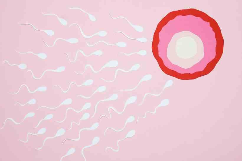 Fertilidade e reprodução assistida são tema de palestra em  Belo Horizonte - Nadezhda Moryak/Pexels