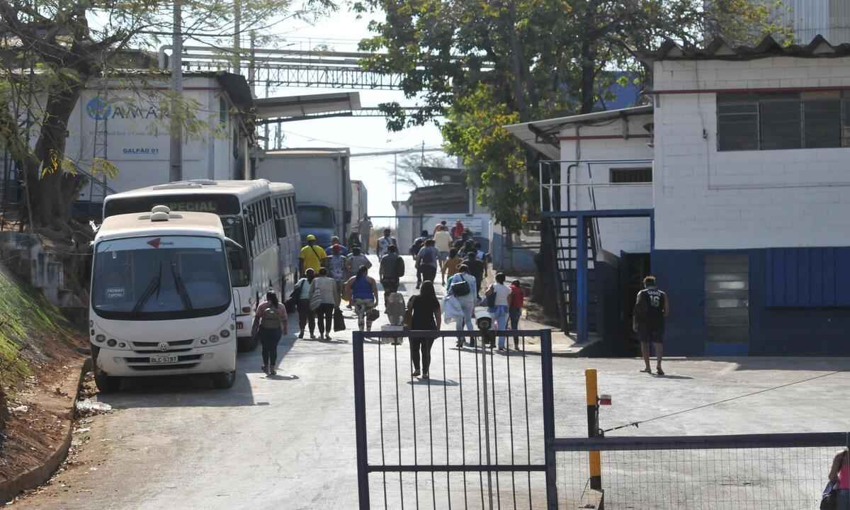 Vigilância rastreia uso de produto que matou cães na indústria alimentícia - Gladyston/EM/D.A Press