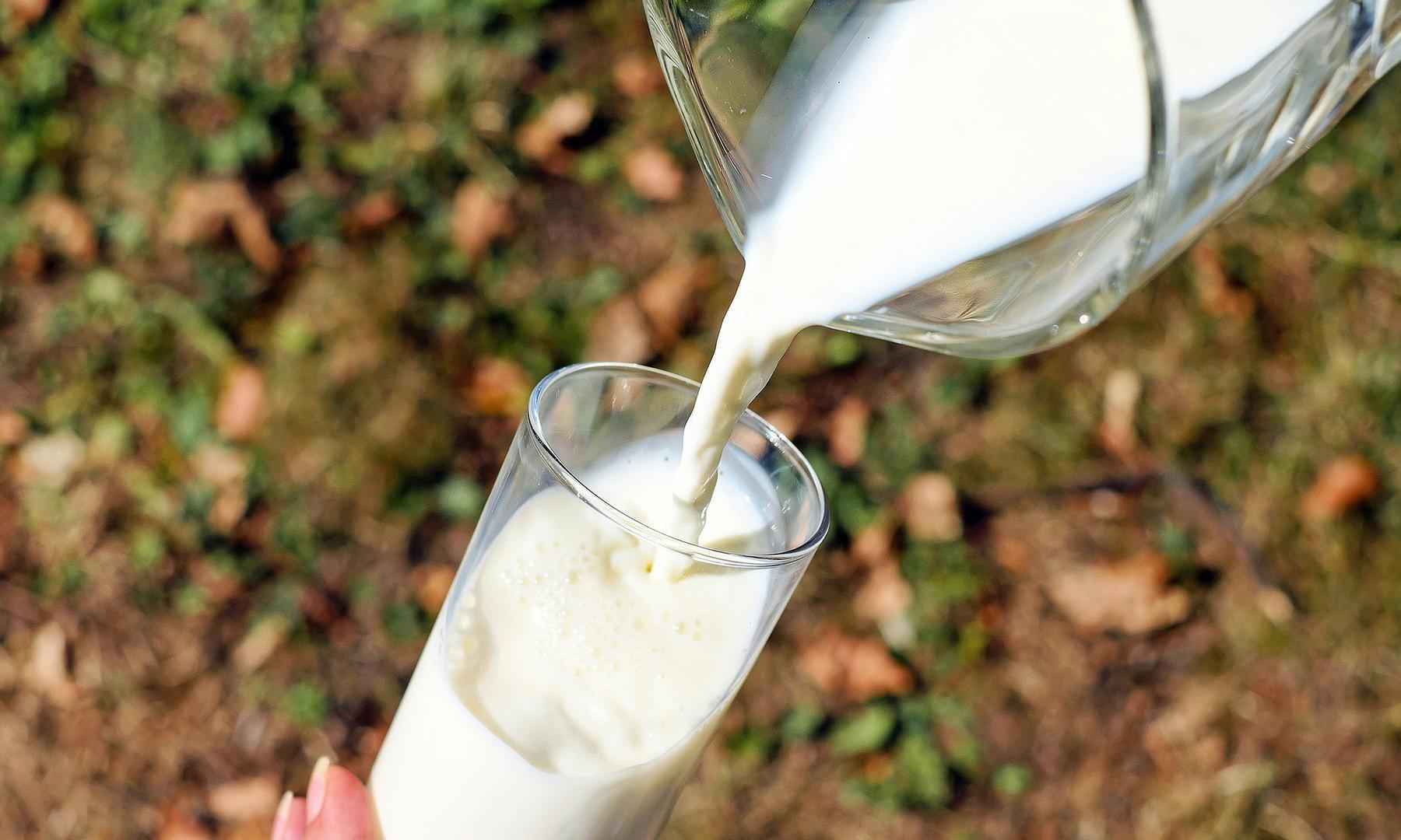 Nestlé e outras empresas são notificadas por leite e requeijão fakes - Pixabay/Divulgação