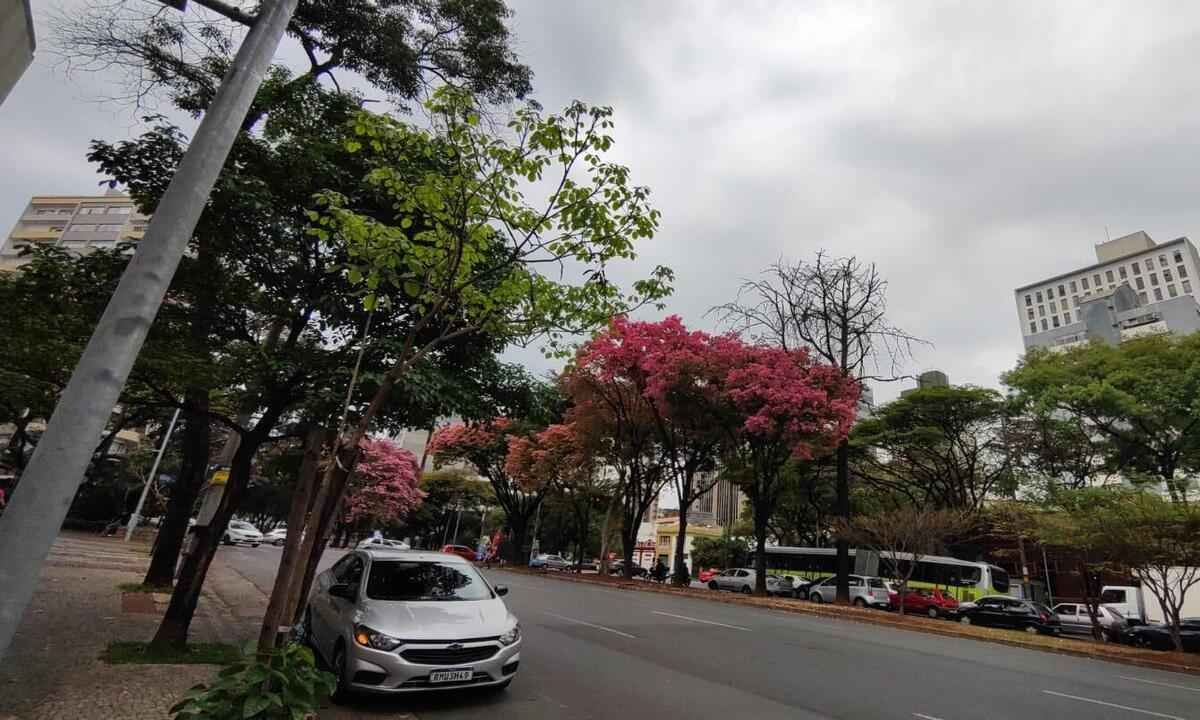 Chuva derruba temperatura em BH; mínima foi de 15,4°C nesta quinta (29/9) - Jair Amaral/EM/D.A Press
