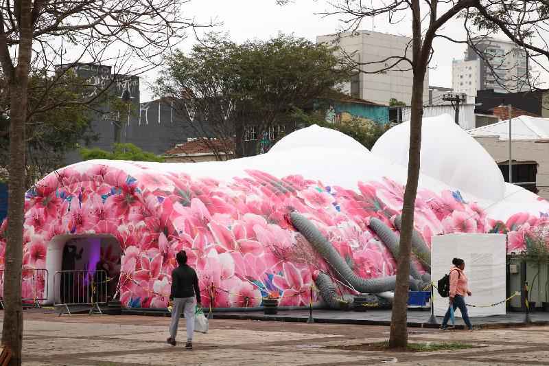 Pesquisa mostra mitos e desinformações sobre o câncer de mama - Agência Brasil