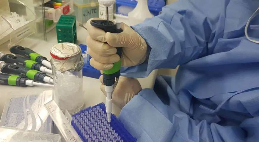 Estudo indica que anticoagulante inibe replicação do vírus da COVID - Agência Brasil