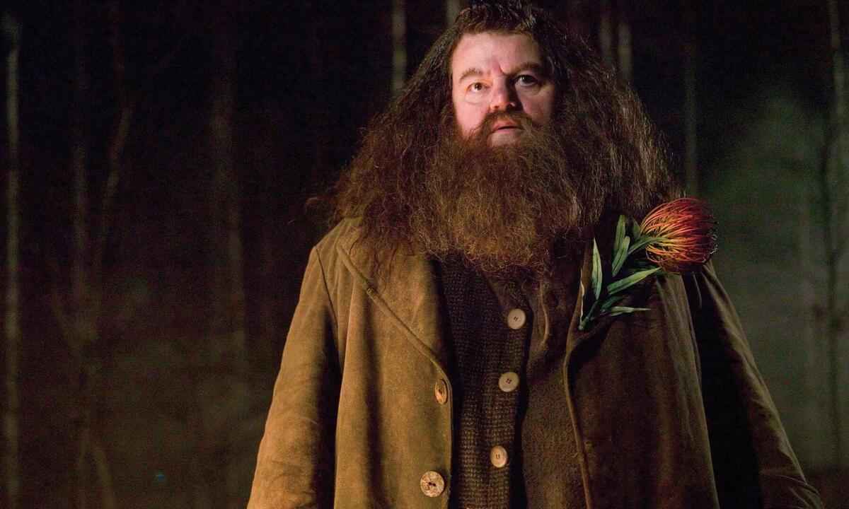 Robbie Coltrane, o Hagrid de 'Harry Potter', morre aos 72 anos - Reprodução