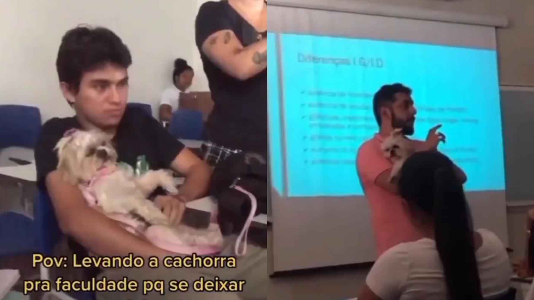 Vídeo: aluna leva cachorrinha para aula, explica motivo e viraliza - Reprodução Redes Sociais