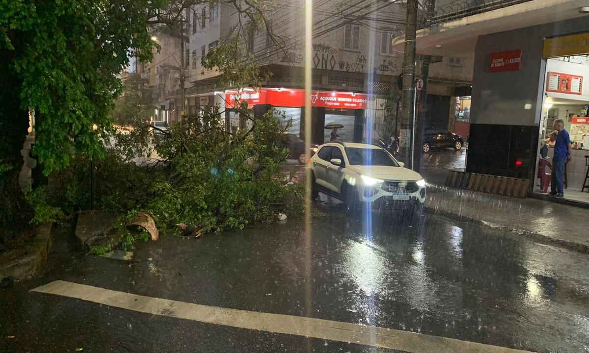 Chuvas em BH: quedas de árvores prejudicam trânsito - Matheus Parreiras/EM/D.A Press