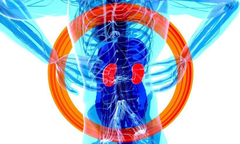Cuidado com os rins: médica alerta sobre doenças e como preveni-las