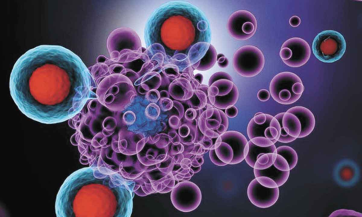 Imunoterapia e farmacologia: precisão no combate ao câncer - Imperial College London/Reprodução
