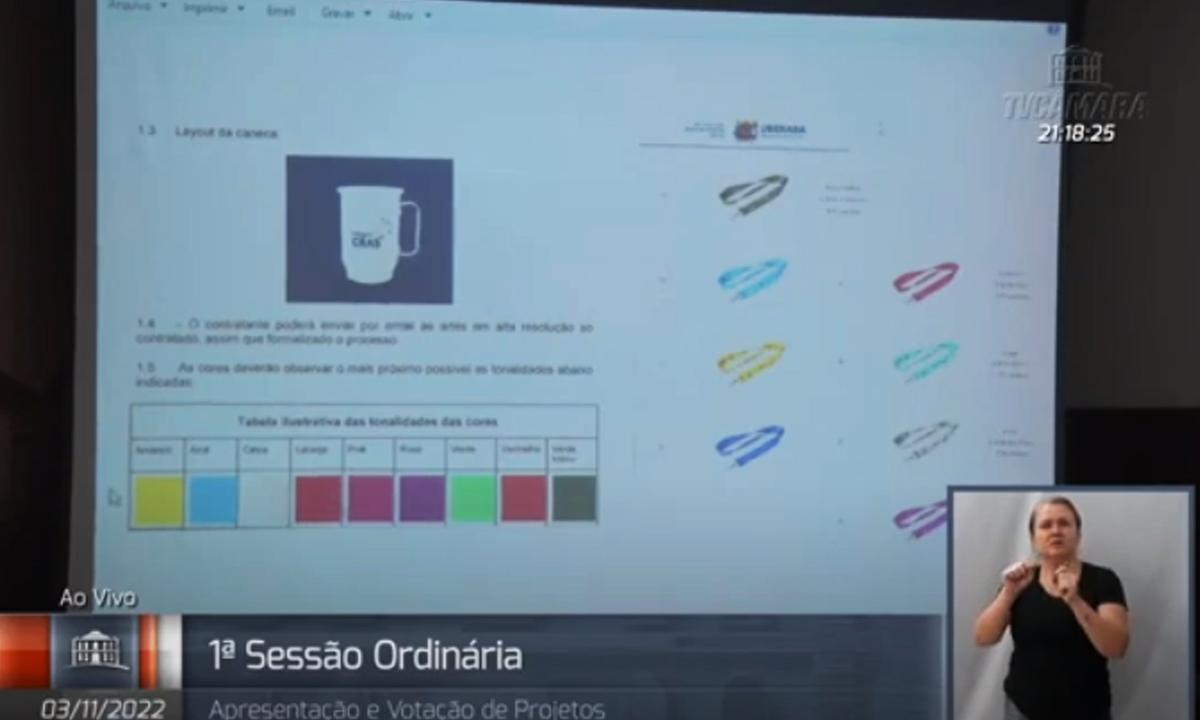 Vereadora de Uberaba questiona gasto de R$ 21 mil em canecas: 'Brincadeira' - TV Câmara de Uberaba/Reprodução