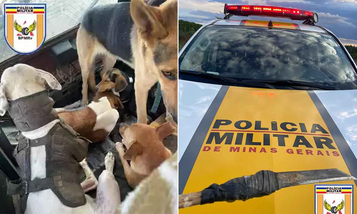 Motorista alcoolizado é preso com cães de caça no interior de Minas - Foto: Divulgação/Polícia Militar Rodoviária
