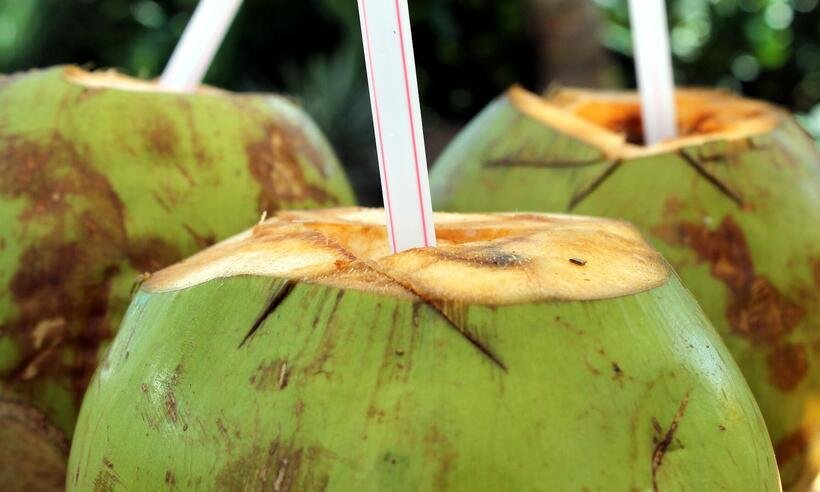 Saiba os motivos para apostar na água de coco -  Adriano Gadini/Pixabay 
