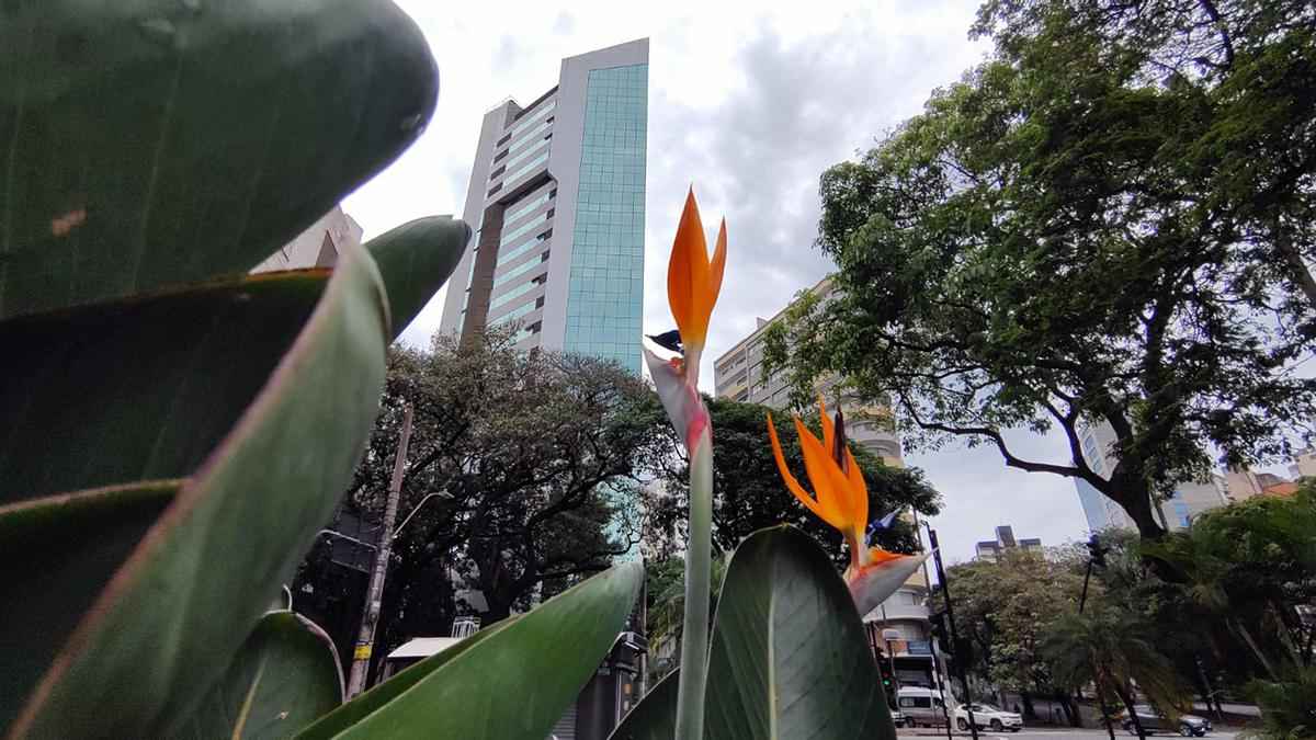 Feriado emendado debaixo de chuvas em Belo Horizonte, segundo Inmet - Jair Amaral/EM/D.A.Press