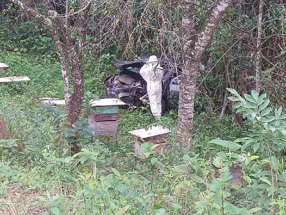 Carro capota em criação de abelhas e feridos são salvos - SALA DE IMPRENSA CBMMG