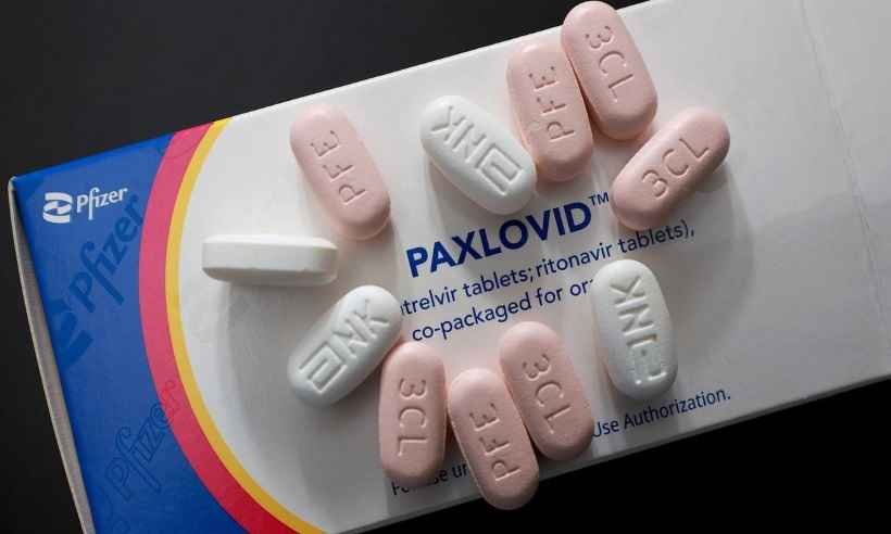 Paxlovid contra COVID chega tarde e eficácia contra ômicron não é clara - Pfizer/Divulgação 