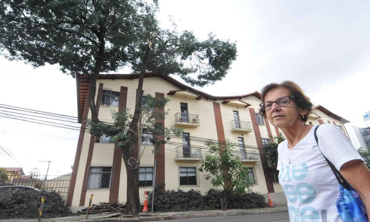 Moradores do Coração Eucarístico temem queda de Ipê com mais de 15 metros -  Gladyston Rodrigues/EM/D.APRESS