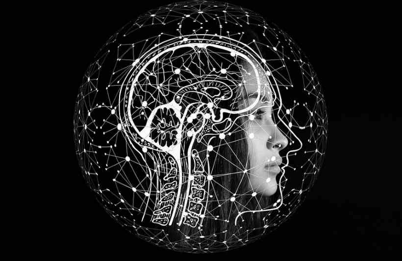 Neurologista ensina como manter uma boa memória - Geralt/Pixabay