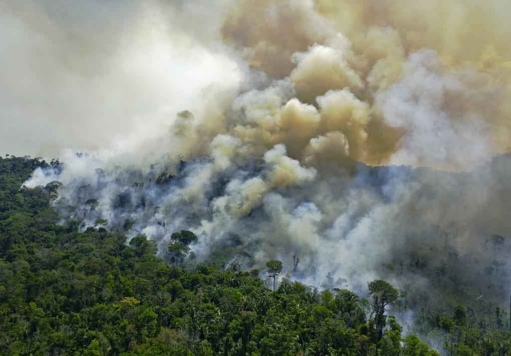 Desmatamento na Amazônia Legal caiu no último ano, mas subiu 60% com Bolsonaro - CARL DE SOUZA / AFP