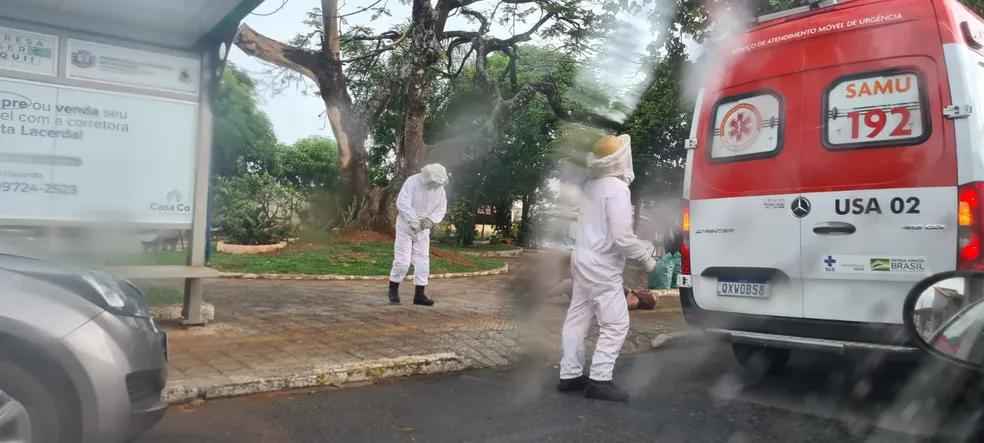 Morre idoso de 73 anos que levou mais de 1 mil picadas de abelhas em Minas - Corpo de Bombeiros