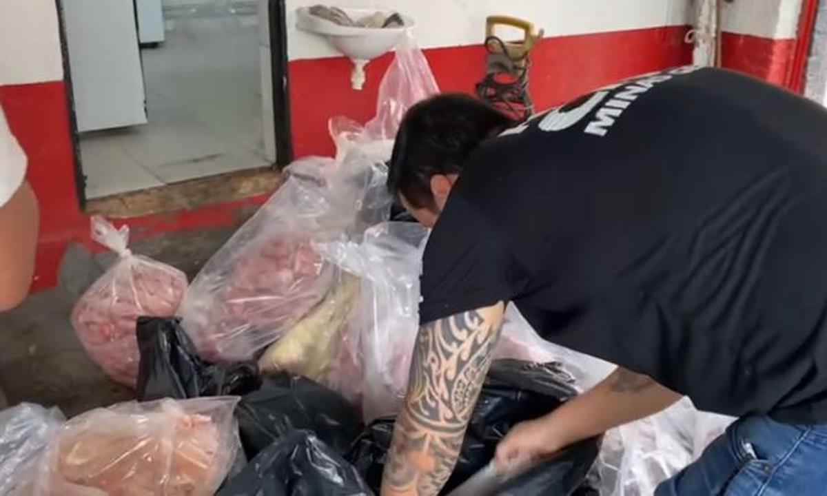 Dona de açougue é presa com mais de 600 quilos de carnes irregulares - PCMG/Divulgação