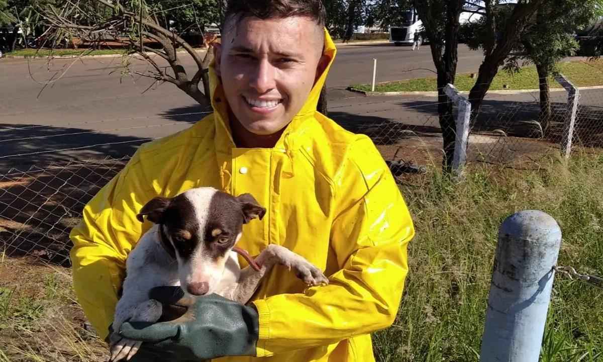 Vídeo: bombeiros resgatam cadela ilhada em tanque de esgoto em Minas - Divulgação/CBMG