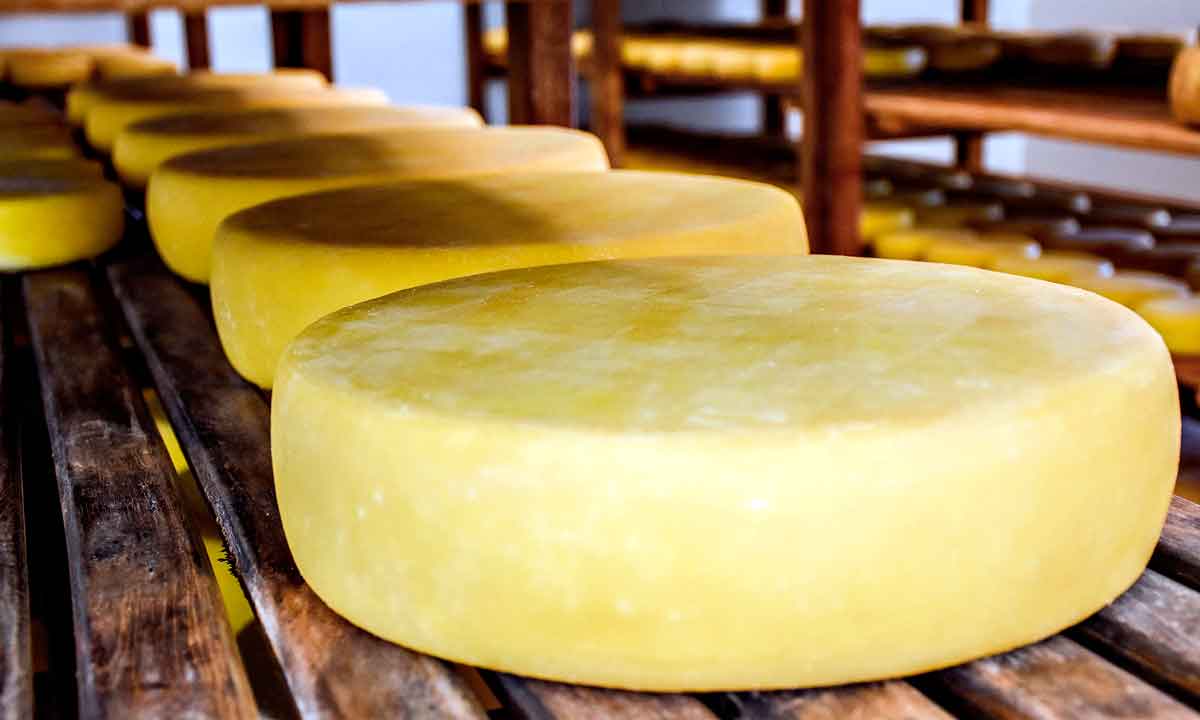 Pesquisa sobre o queijo canastra traz novidades importantes - Franciely Eduarda/divulgação