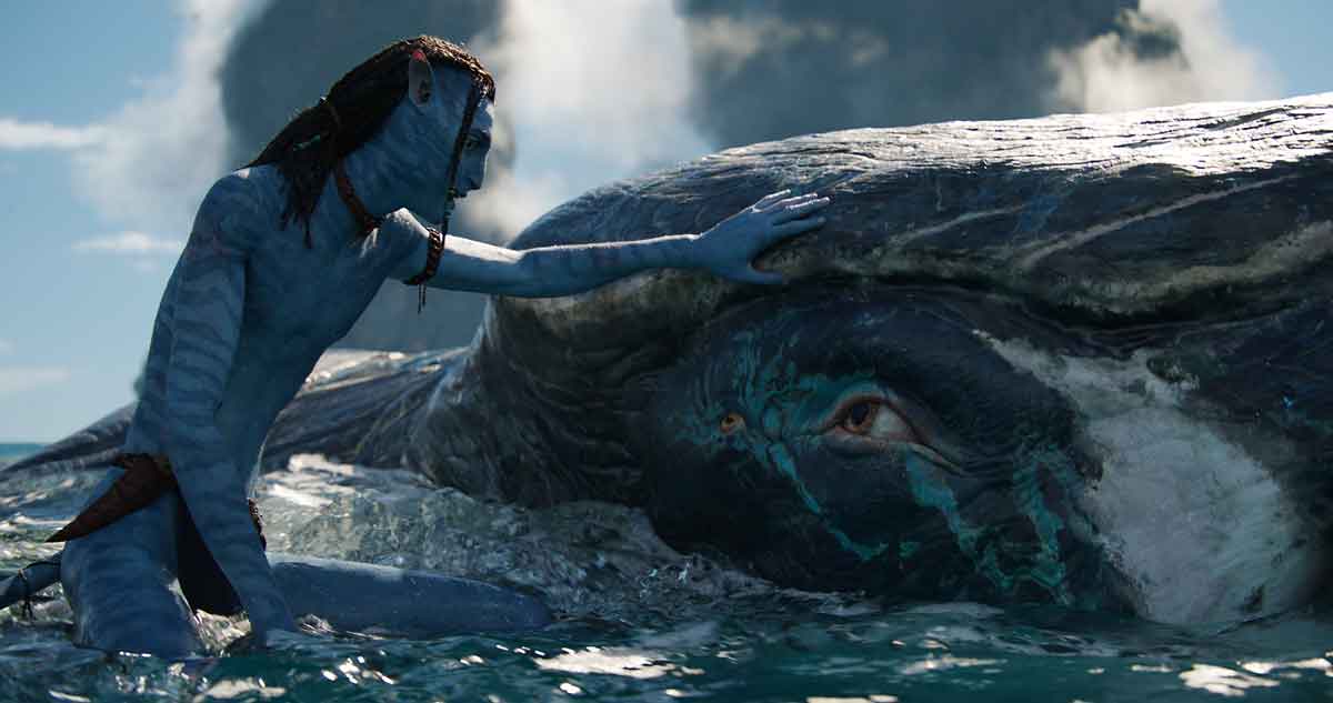 Pré-estreia de 'Avatar, o caminho da água' ocupa 55 salas de BH, nesta 4ª - Disney/divulgação