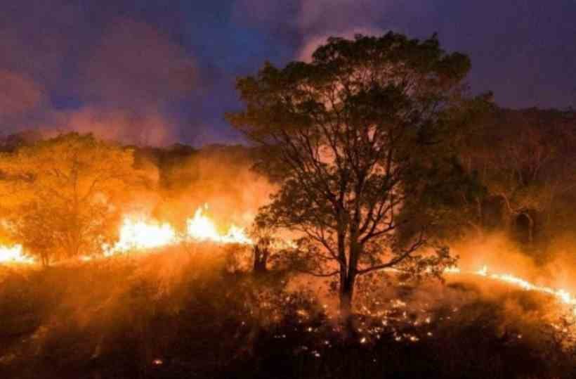  Ecoansiedade? Entenda o termo que nomeia o medo das mudanças climáticas  - Ibere Perisse/Projeto Solos/AFP