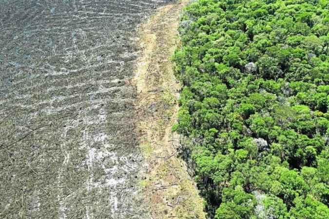 Bolsonaro libera exploração de madeira em terras indígenas - Florian Plaucheur/AFP