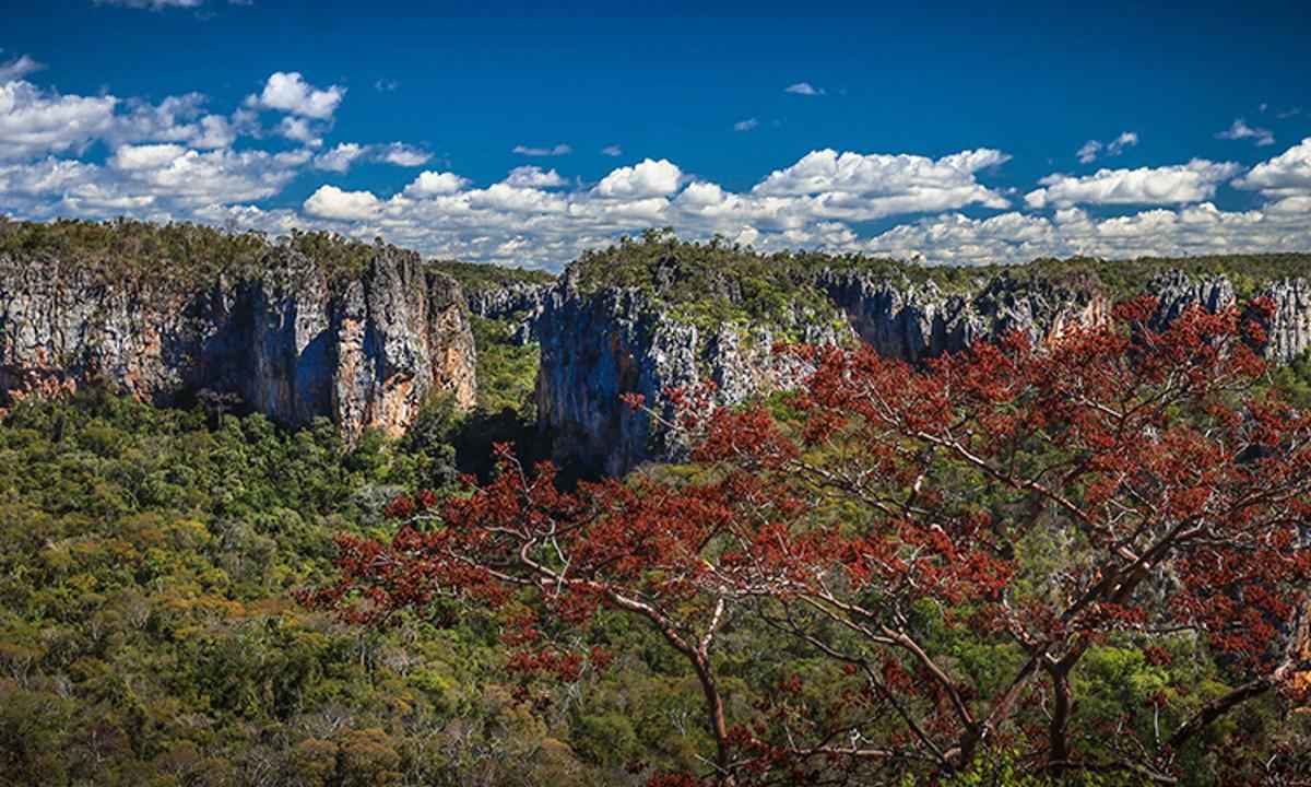 Parque Nacional Caverna do Peruaçu é inaugurado oficialmente   - Divulgação/ICMBio