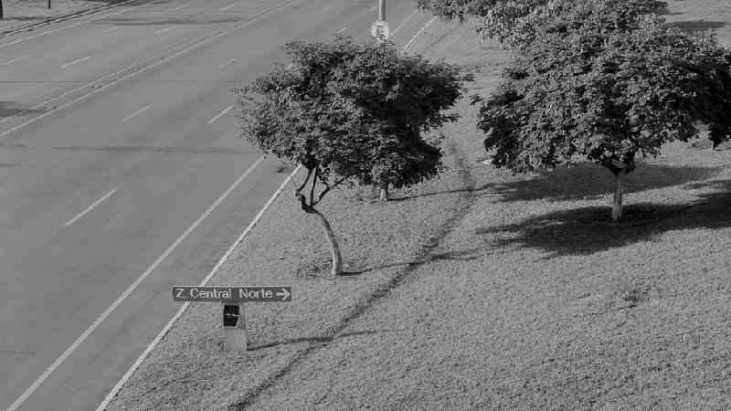 Os caminhos inventados por pedestres em Brasília, cidade feita para carros - Diego Bresani