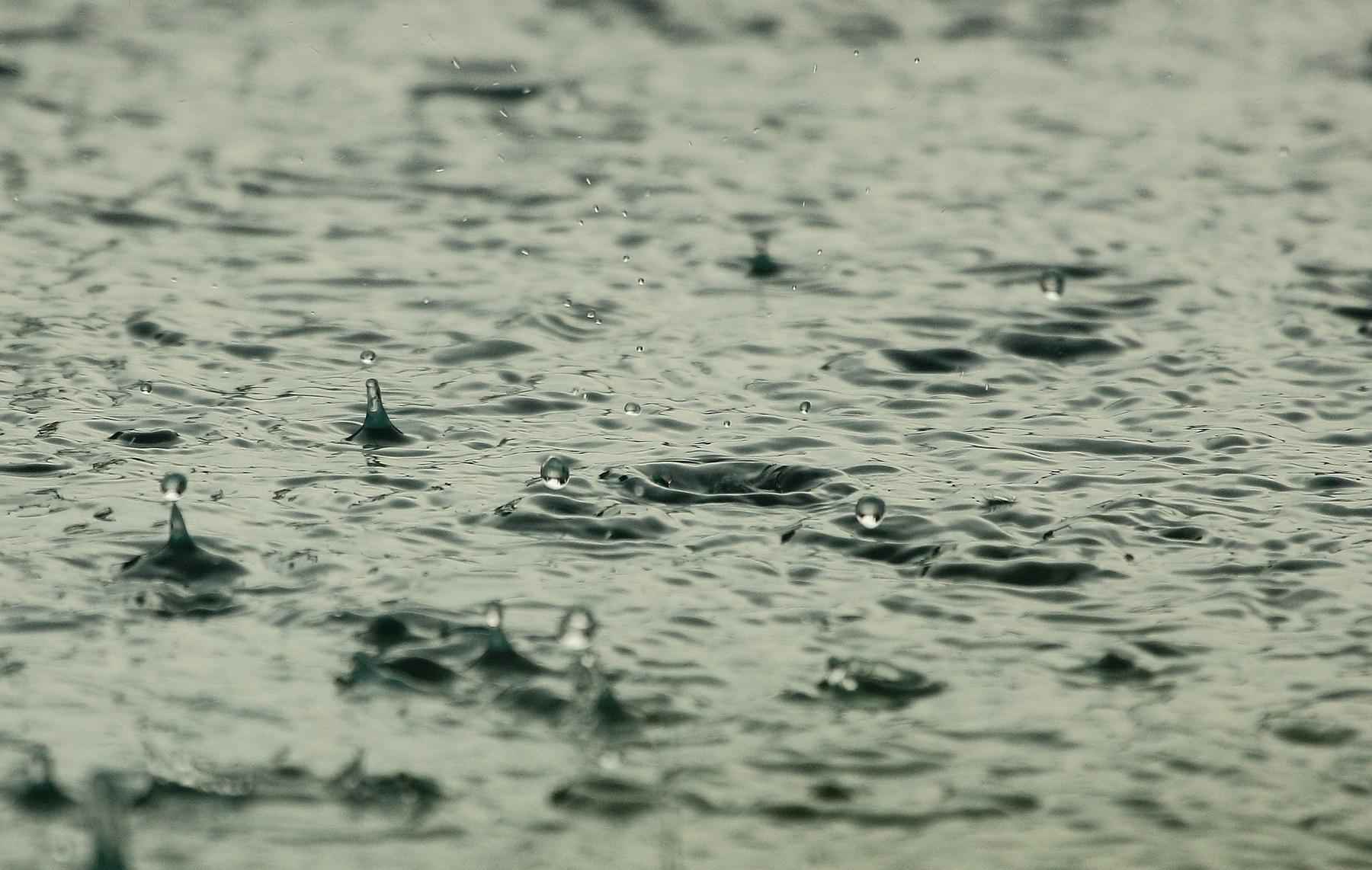 Prefeitura de Patrocínio do Muriaé alerta população para riscos das chuvas - Pixabay / Reprodução