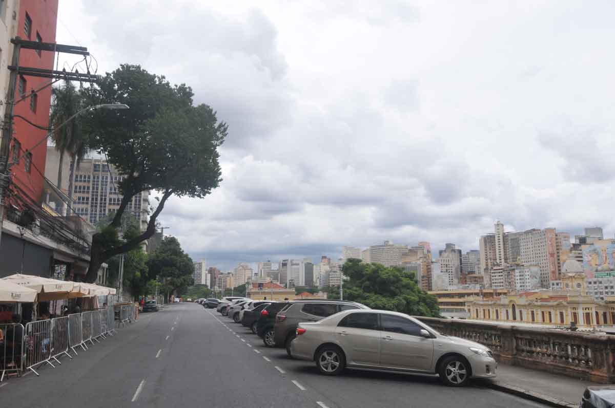 Rua Sapucaí: por uma Floresta melhor - Leandro Couri/EM/D.A Press
