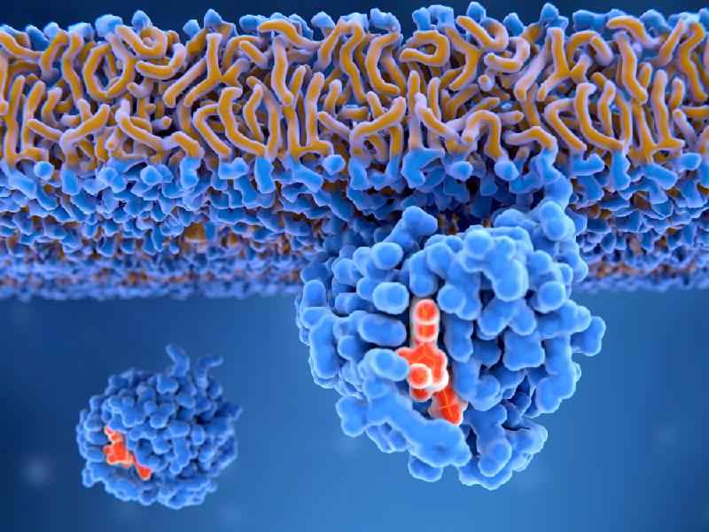 KRAS, a proteína 'maldita' do câncer que é o alvo das pesquisas para tratamentos modernos - Getty Images