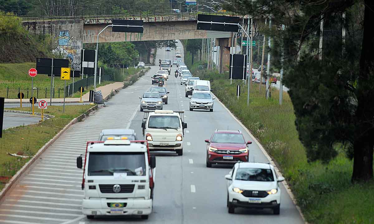 Armadilhas nas estradas exigem atenção redobrada em Minas - Fotos: Alexandre Guzanshe/EM/D.A Press

