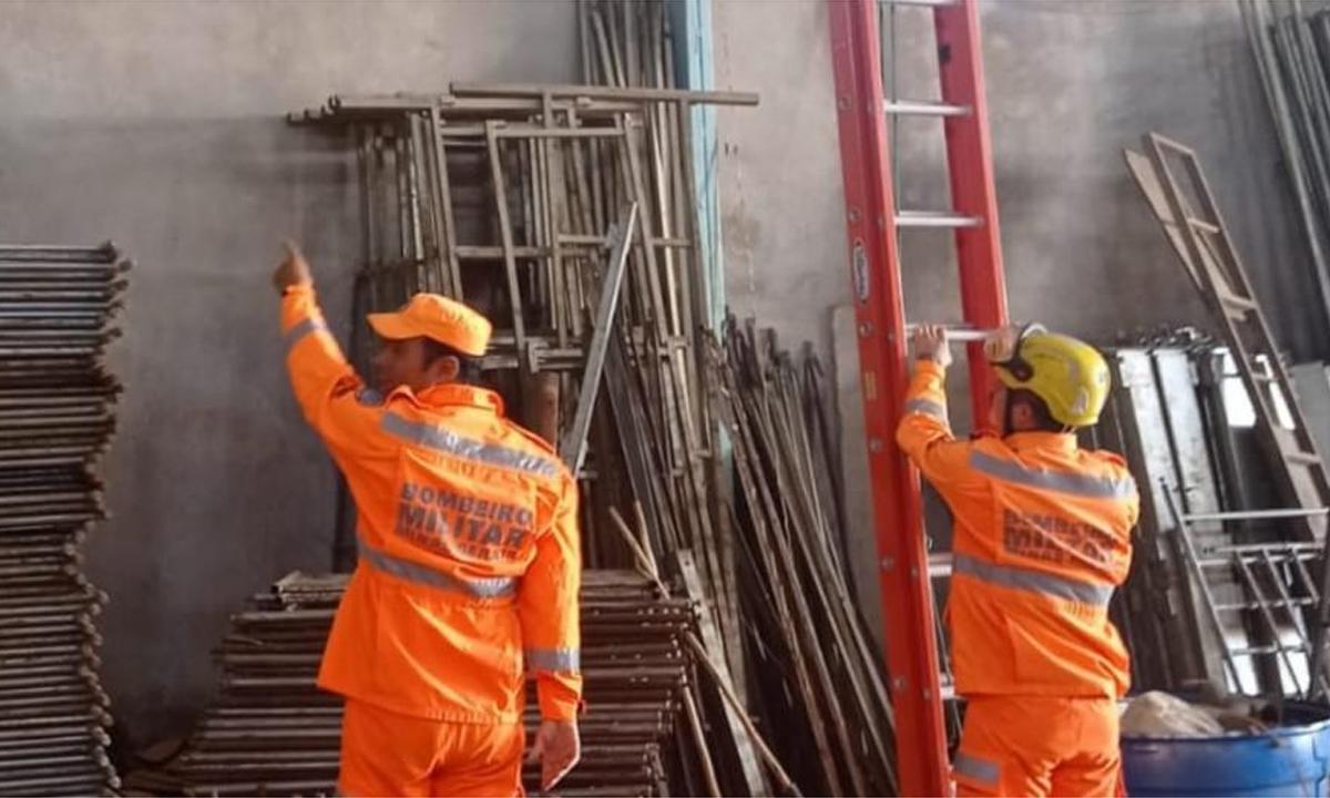 Bombeiros capturam cobra de 1,5 metro em empresa de construção - Reprodução/Redes Sociais