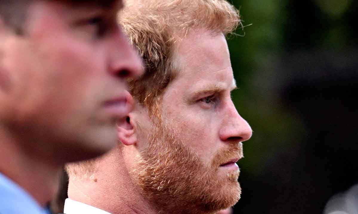 Biografia do príncipe Harry revela agressão física de William - Loic Venance/AFP