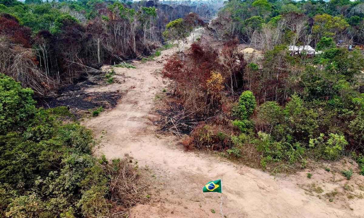 Desmatamento da Amazônia bate recorde no governo Bolsonaro - Michael Dantas/AFP - 7/10/22