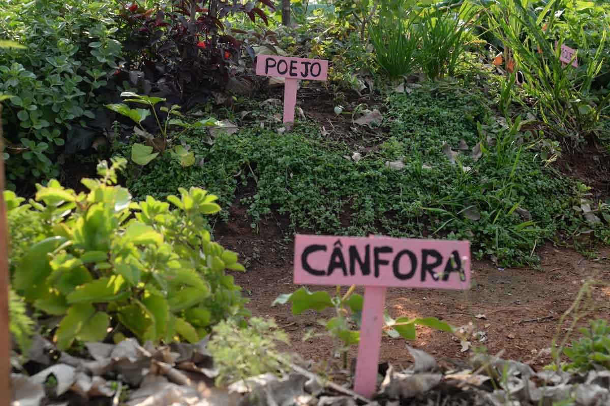 Mulheres em situação de rua transformam plantas em itens de higiene pessoal - Túlio Santos/EM/d.a press