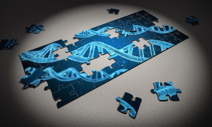Janeiro Branco: teste genético diz se medicamento é efetivo à saúde mental -  Arek Socha/Pixabay 