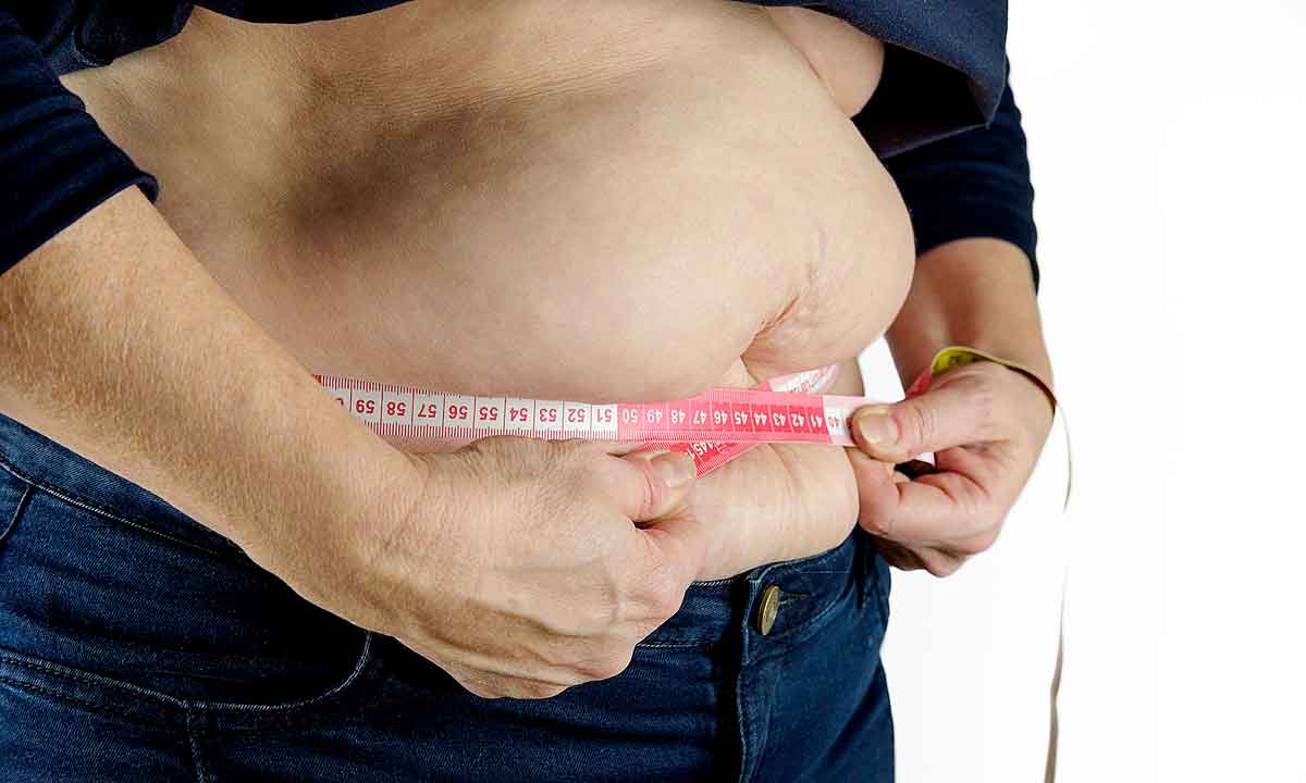 Caneta redutora de obesidade é aprovada pela Anvisa - Pixabay