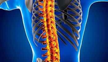 Adolescentes são mais propensos a ter escoliose -  FREEPIK/Divulgação