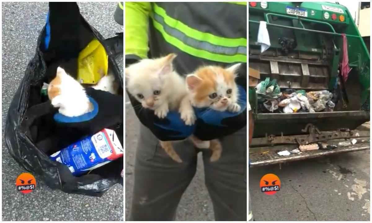 Vídeo: gari de Contagem viraliza ao resgatar gatos presos em saco de lixo - Cristiano Fidelis/TikTok/Reprodução