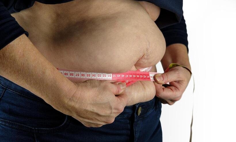 Estudo aponta que gordura visceral desencadeia doenças cardiovasculares -  Bruno /Germany /Pixabay 