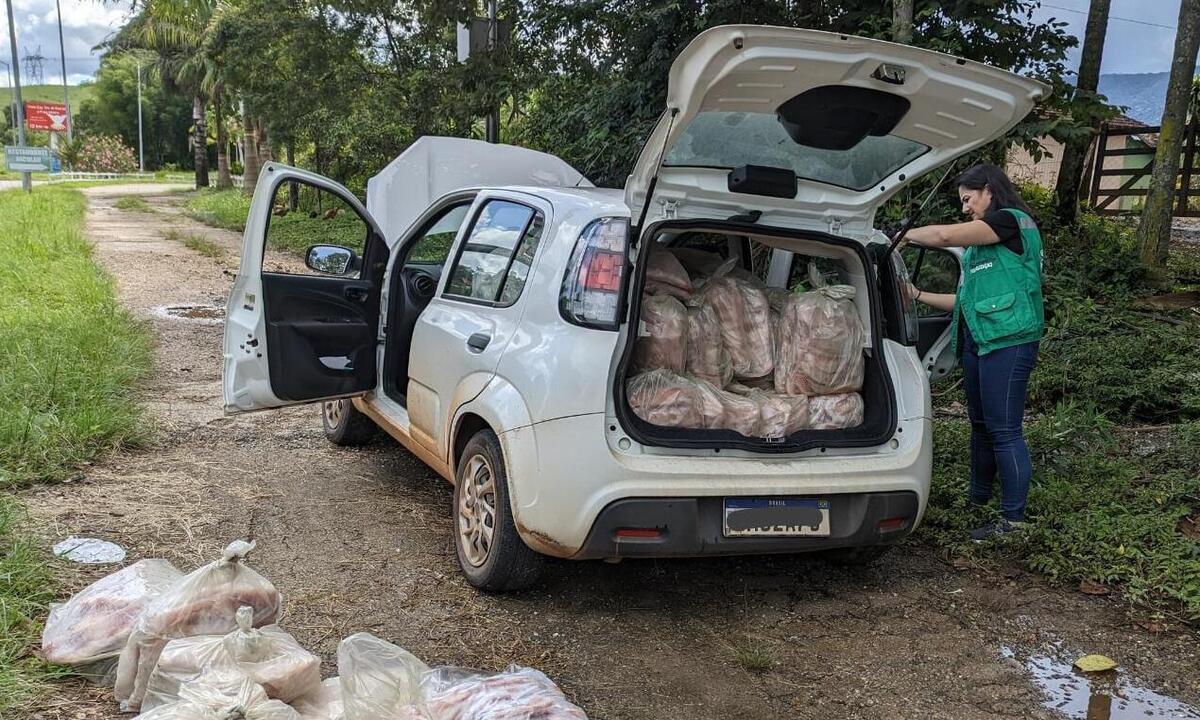 Homem é preso em rodovia mineira com 480 kg de peixe impróprio para consumo - Polícia Militar Rodoviária