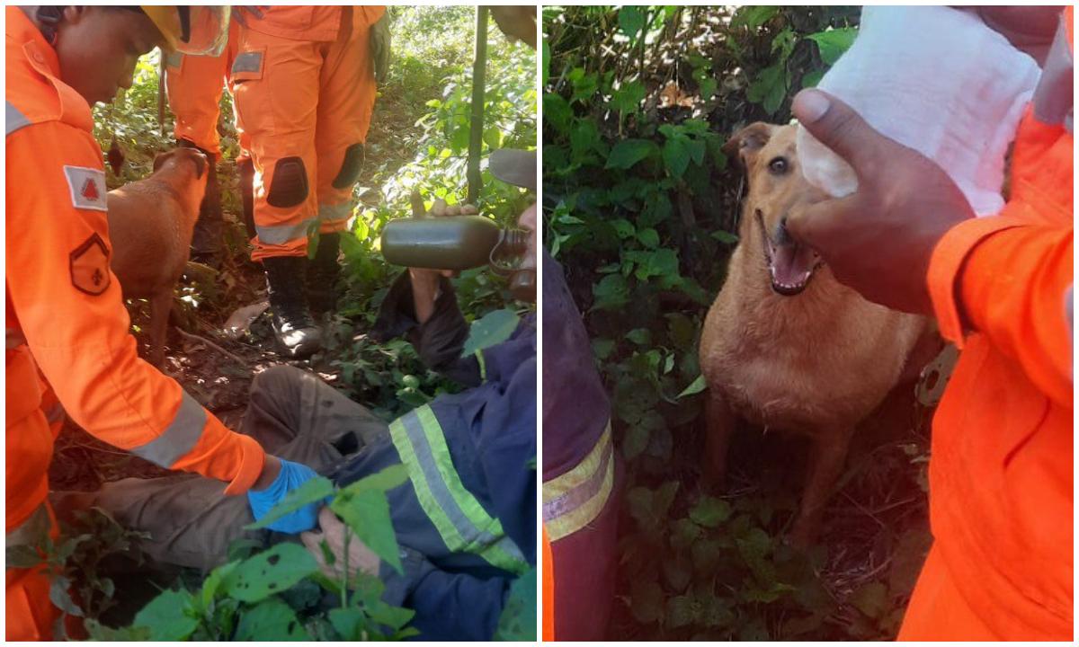Bombeiros ouvem latido de cão e encontram idoso de 81 anos perdido - Corpo de Bombeiros/Divulgação