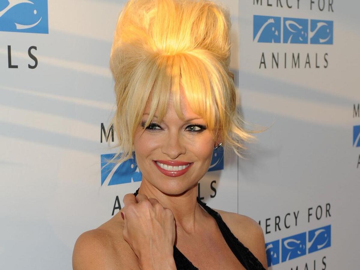 Filhos de Pamela Anderson gostariam que mãe ganhasse mais dinheiro com fita de sexo vazada - wikimedia commons